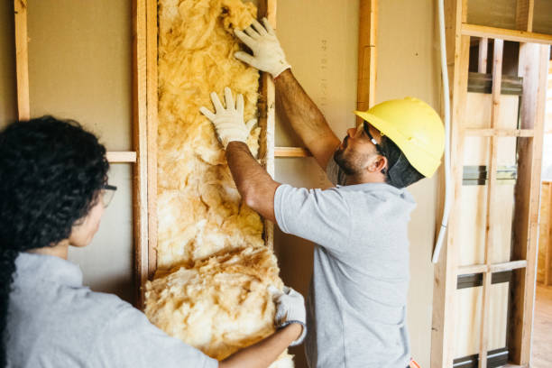 Best Eco-Friendly or Green Insulation Solutions  in Hampton, VA