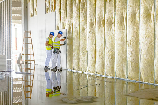 Best Radiant Barrier Insulation  in Hampton, VA